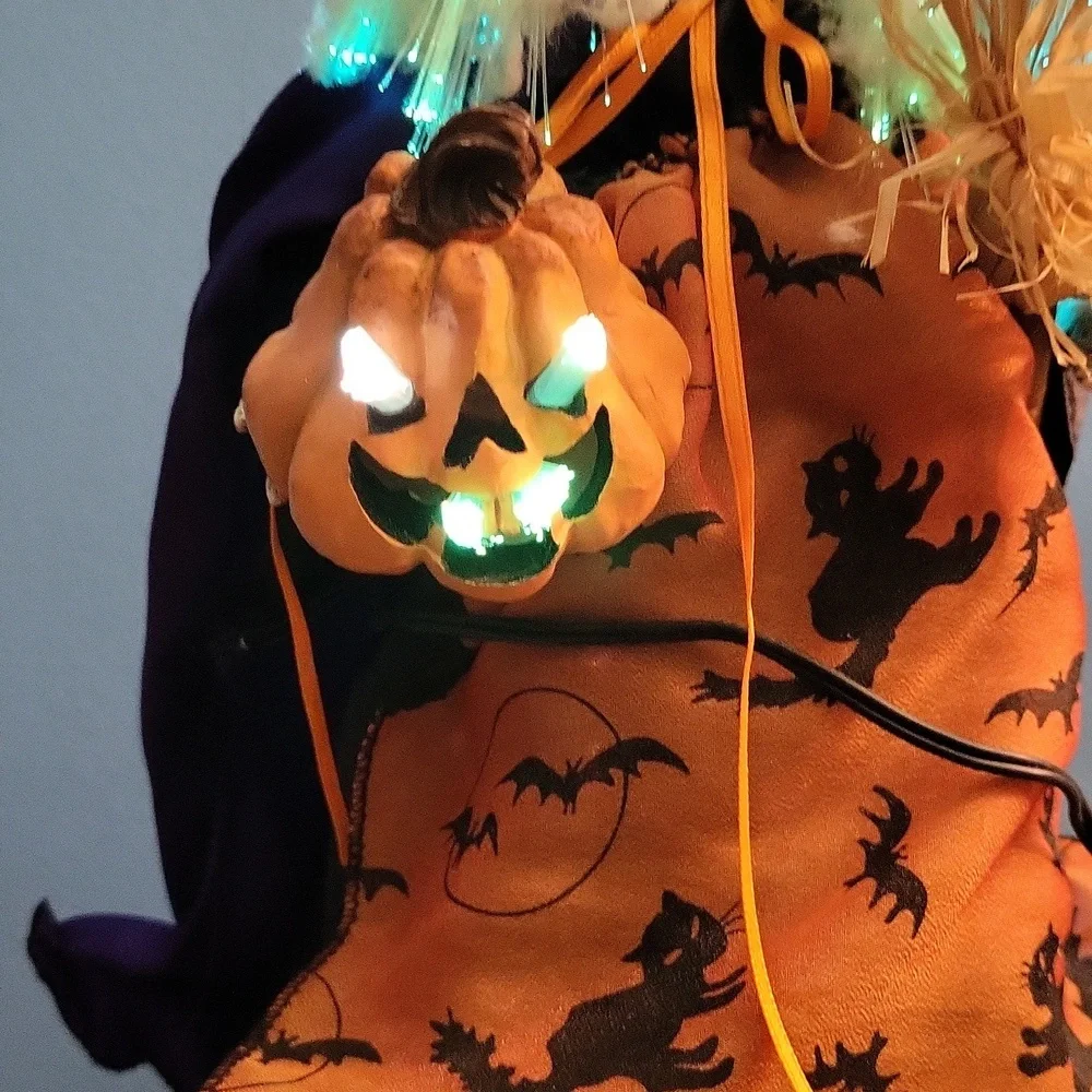 Fiber optic light up Witch Halloween decor